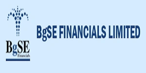 BGSE Finance Franchise
