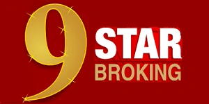 Nine Star Broking Franchise