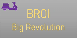 BROI Big Revolution Franchise Logo