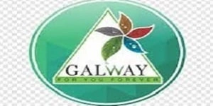 Galway Franchise Logo